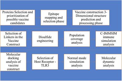 Immunoinformatics assisted profiling of West Nile virus proteome to determine immunodominant epitopes for the development of next-generation multi-peptide vaccine